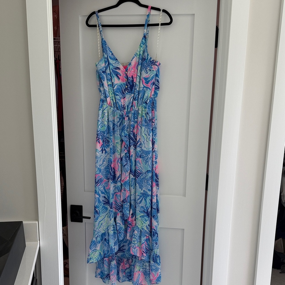 Lilly Blue & Pink Printed midi Dress